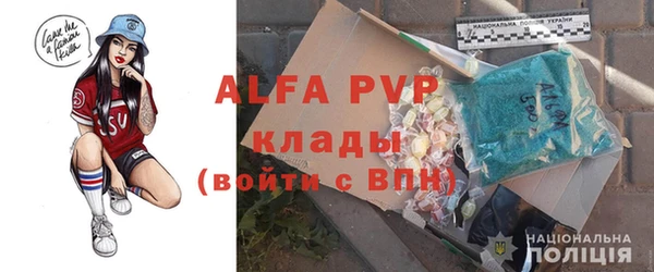 сатива Волосово