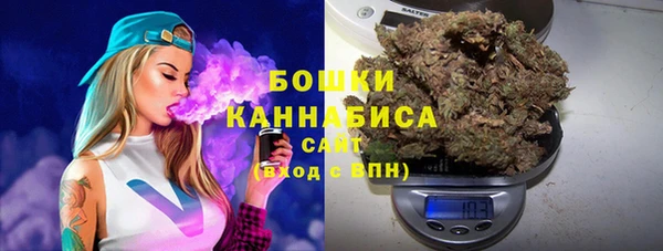 сатива Волосово