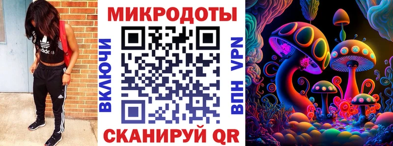 где найти   Остров  Галлюциногенные грибы Cubensis 